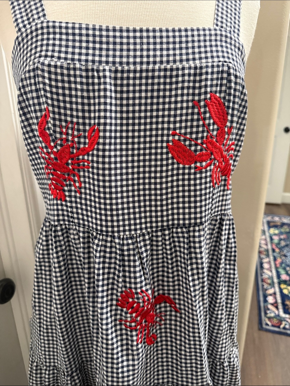 Blue and White Gingham Maxi Dress with Red Embroidery nantucket weekend dress - Picture 2 of 5